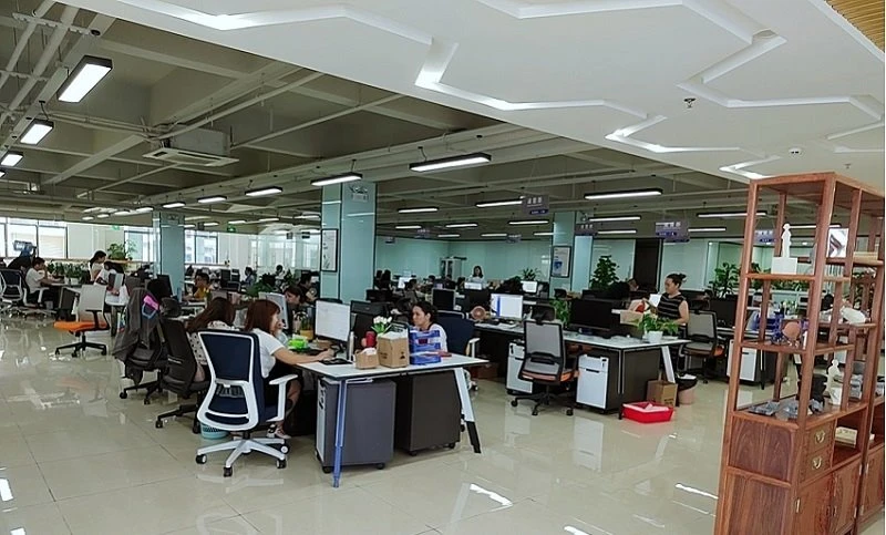 my company 2